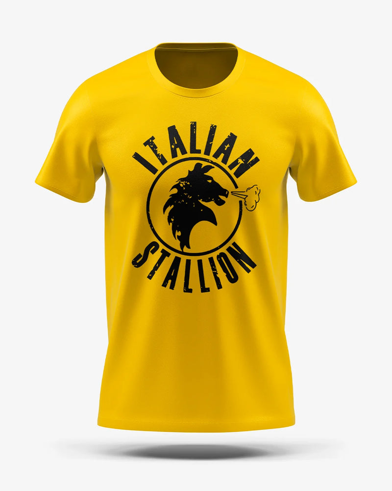 Camiseta Esporte Dry Fit - Rocky Yellow Italian Stallion