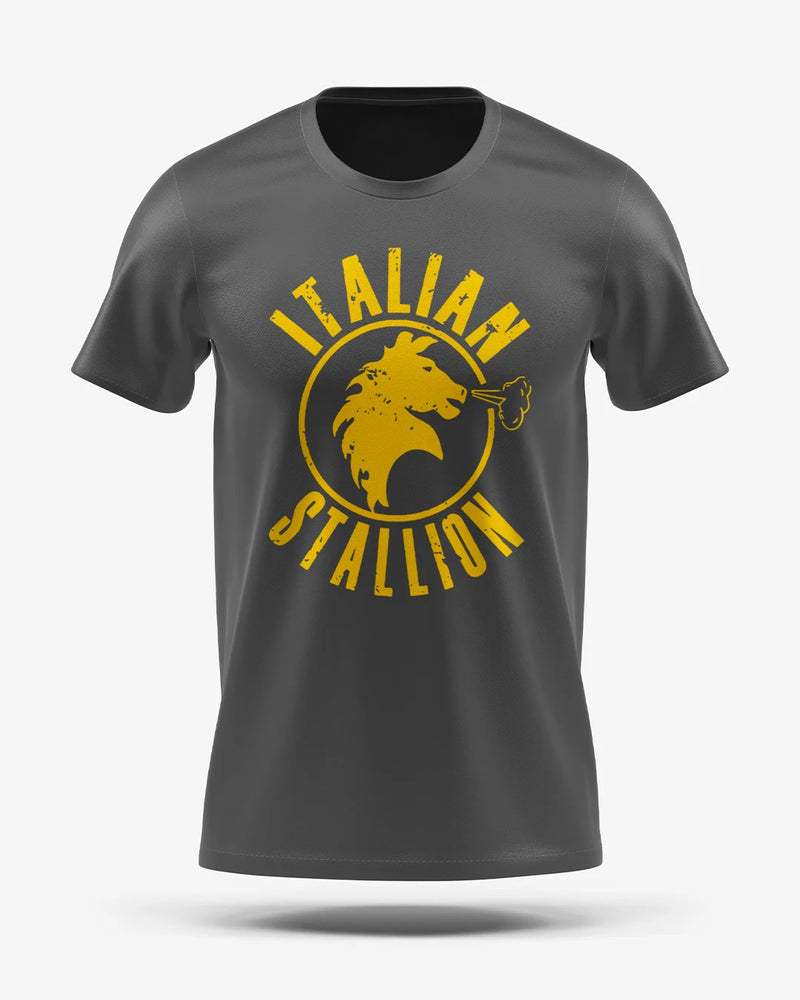 Camiseta Esporte Dry Fit - Rocky Yellow Italian Stallion